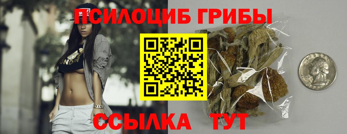 Междуреченск  Псилоцибиновые грибы GOLDEN TEACHER  Вход с VPN  Галлюциногенные грибы мухоморы 