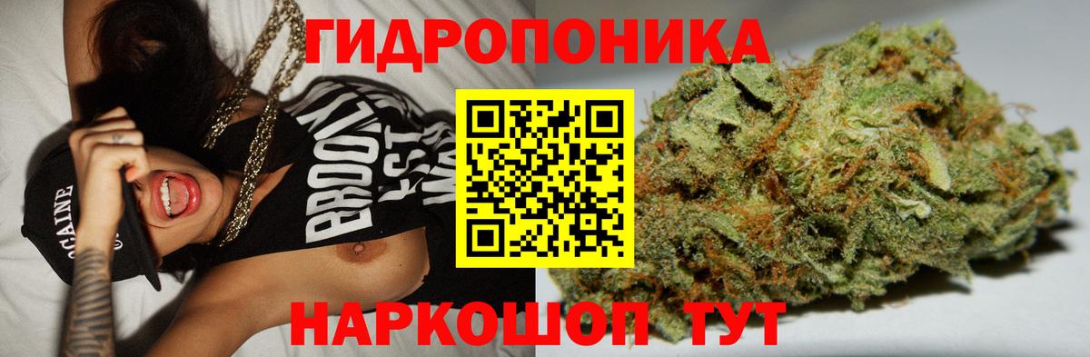Шишки марихуана Bruce Banner  Бошки Шишки марихуана  Вход с VPN  Междуреченск 